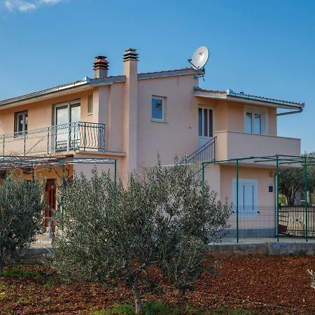 Guest House Pelja Plano Екстериор снимка